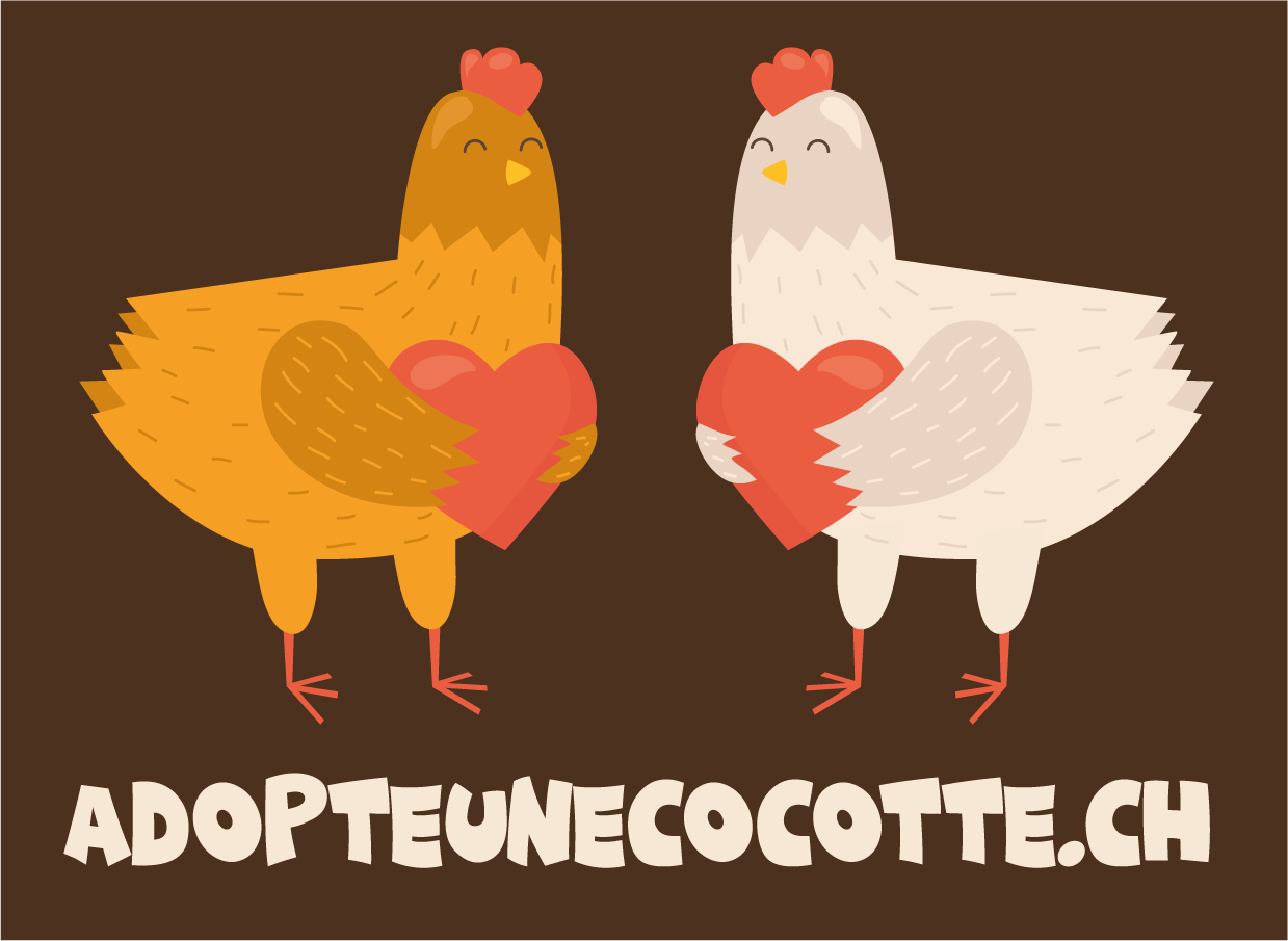 Adopte Une Cocotte